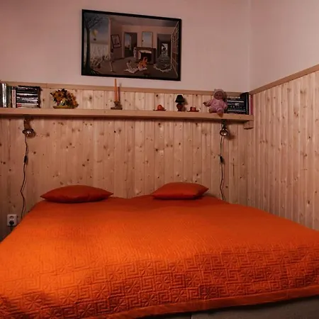 Retro Vesna Penzion 3*